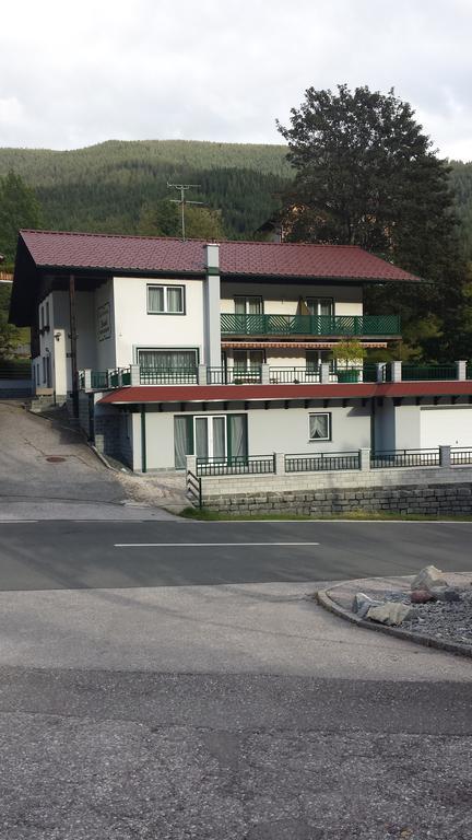 Gastehaus Elisabeth Apartment Bad Kleinkirchheim Luaran gambar